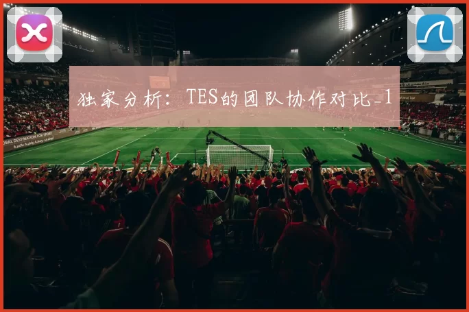 独家分析：TES的团队协作对比_1
