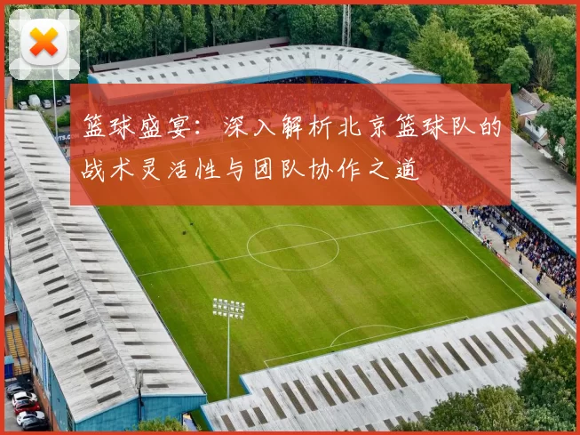 篮球盛宴：深入解析北京篮球队的战术灵活性与团队协作之道