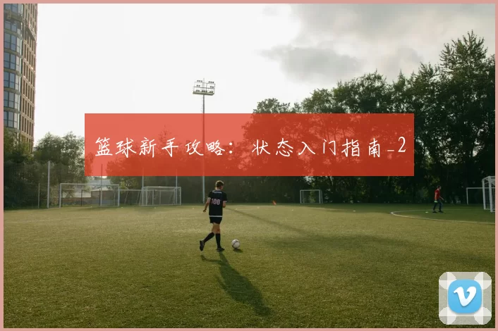 篮球新手攻略：状态入门指南_2