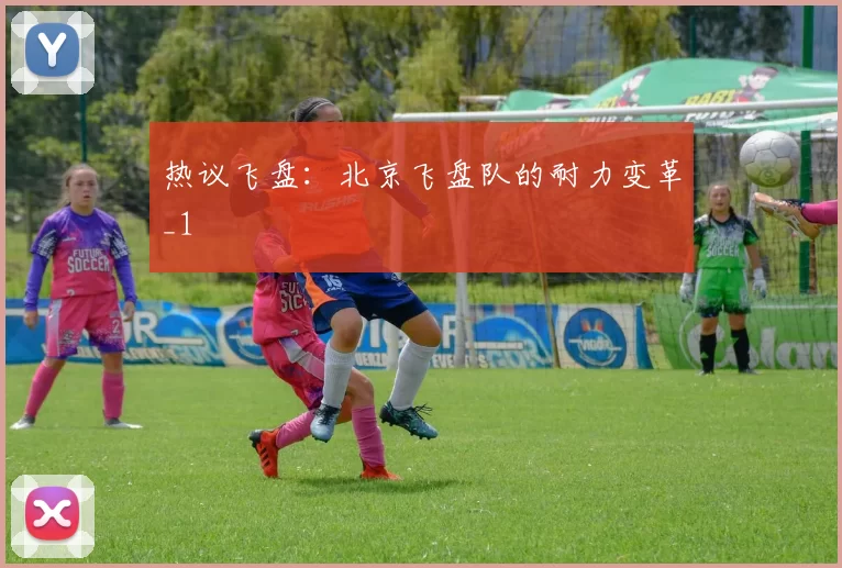 热议飞盘：北京飞盘队的耐力变革_1