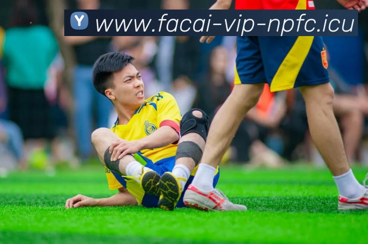 乐竞体育平台生态图